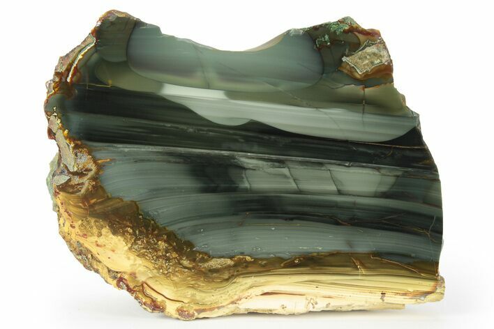 Polished Section of Blue Mountain Jasper - Oregon #227969